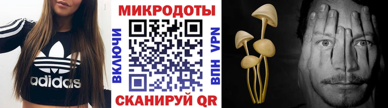 Псилоцибиновые грибы ЛСД  hydra ссылка  Соль-Илецк 